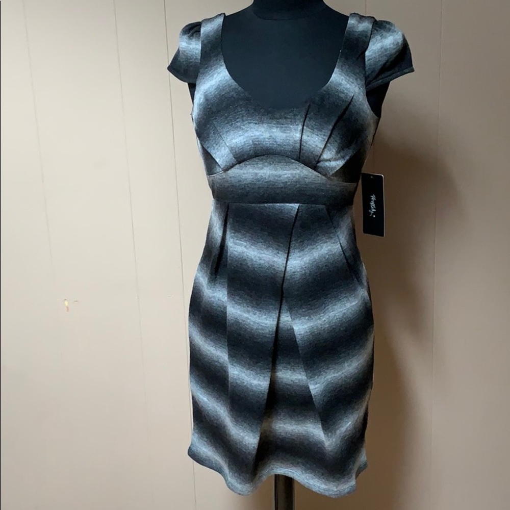 NWT Rhapsody Mini Dress
